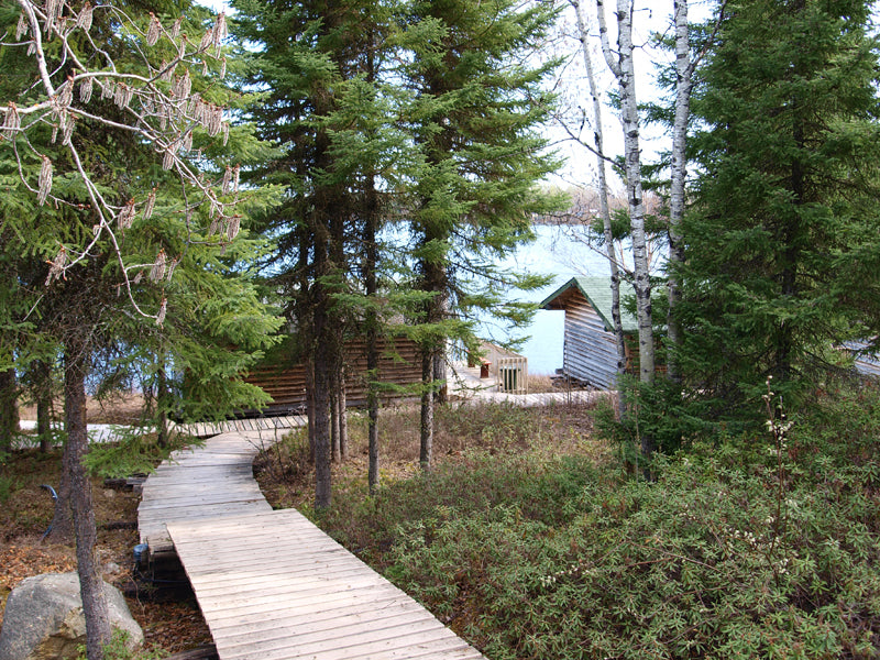 Rustic cabins