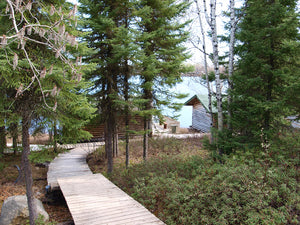 Rustic cabins